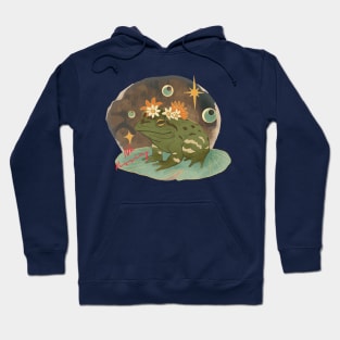 Fairytale Frog - No Kissing Hoodie